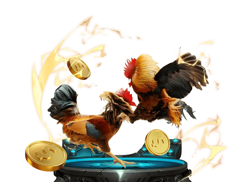 Hướng dẫn cá cược đá gà 33 Win